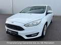 Ford Focus Turnier Business Blanco - thumbnail 2
