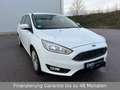 Ford Focus Turnier Business Blanco - thumbnail 4