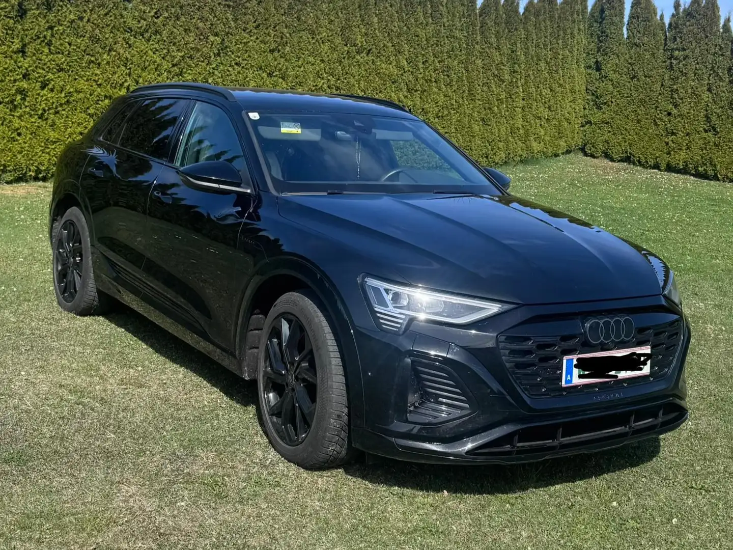 Audi Q8 e-tron Q8 55 e-tron quattro 106kWh S Line S Line Schwarz - 1