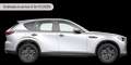 Mazda CX-60 3.3L e-Skyactiv D 200 CV M Hybrid RWD Prime Line Argento - thumbnail 7
