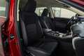 Lexus NX 300 300h Business 2WD Roşu - thumbnail 15