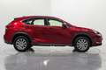 Lexus NX 300 300h Business 2WD Roşu - thumbnail 7