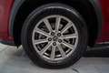 Lexus NX 300 300h Business 2WD Roşu - thumbnail 11