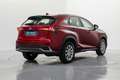 Lexus NX 300 300h Business 2WD Roşu - thumbnail 6