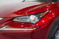 Lexus NX 300 300h Business 2WD Roşu - thumbnail 10
