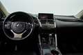Lexus NX 300 300h Business 2WD Roşu - thumbnail 12