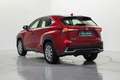 Lexus NX 300 300h Business 2WD Roşu - thumbnail 9
