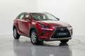 Lexus NX 300 300h Business 2WD Roşu - thumbnail 3