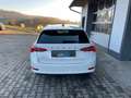 Skoda Octavia Style 2,0 TDI DSG *PDC*DIGITAL*ACC*NAVI*SITZHZ* Weiß - thumbnail 4
