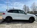 Porsche Cayenne Diesel Platinum Edition Aut. Blanco - thumbnail 12