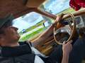 Lincoln Town Car 4.9 Gold - thumbnail 13