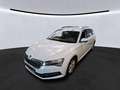 Skoda Superb Combi 2.0 TDI DSG +LED +ACC +RKAM +VIRTUAL +NAVI Weiß - thumbnail 2