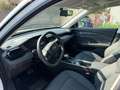 Dongfeng Huge - Huge 1.5 t E2 320T auto Weiß - thumbnail 9