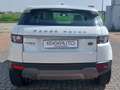 Land Rover Range Rover Evoque 5p 2.2 td4 Dynamic 150cv auto 9m Bianco - thumbnail 5