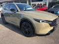 Mazda CX-5 Homura 194 FWD LEDER/AHK Vert - thumbnail 6