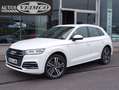 Audi Q5 55 TFSIe S line quattro-ultra S tronic Blanco - thumbnail 1