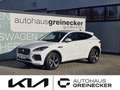 Jaguar E-Pace 2.0DI4 D165 AWD R-Dynamic S Aut. Weiß - thumbnail 1