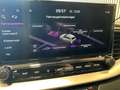 Kia Ceed / cee'd 1.6 T-GDI DCT GT FUGEL SPORT|Panodach Grün - thumbnail 15