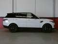 Land Rover Range Rover Sport 3.0 D 300CV MHEV AWD Auto SE Weiß - thumbnail 5