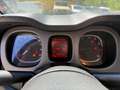 Fiat Panda Panda III 2021 4x4 Cross 0.9 t.air t. Cross 4x4 s Rood - thumbnail 12