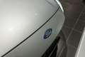 Ford Kuga 1.5i EcoB. 88kW S/S ECO Trend Navi | PDC v+a | Lan Gris - thumbnail 8