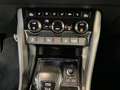 Skoda Karoq Sportline+CANTON+AHK+RearView Gris - thumbnail 13