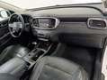 Kia Sorento 2.2 CRDi AWD R-Rebel Aut. 7 Posti Blanco - thumbnail 12