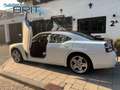Dodge Charger S/E, 2.7, Automaat, LPG, 33.000 Miles Rood - thumbnail 9
