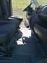 Peugeot Boxer Boxer L1H1 - thumbnail 8