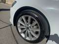 Audi A6 A6  Avant 35 2.0 tdi mhev Business Sport s-tronic Blanc - thumbnail 19