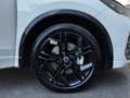 Volkswagen Tiguan Sport TDI DSG Weiß - thumbnail 23