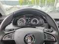 Skoda Scala Ambition 1.6 TDI App-Navi Fernlichtassistent Rouge - thumbnail 11