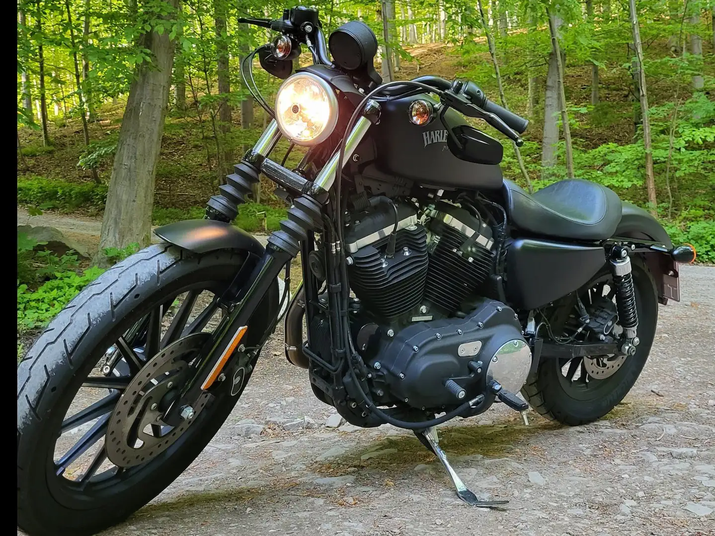 Harley-Davidson Iron 883 Sportster Negro - 1