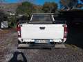 Nissan King Cab King Cab 2.5d EGR Bianco - thumbnail 8