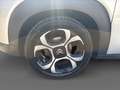 Citroen C3 Aircross C3 Aircross BlueHDi 100 S&S Shine Grau - thumbnail 10