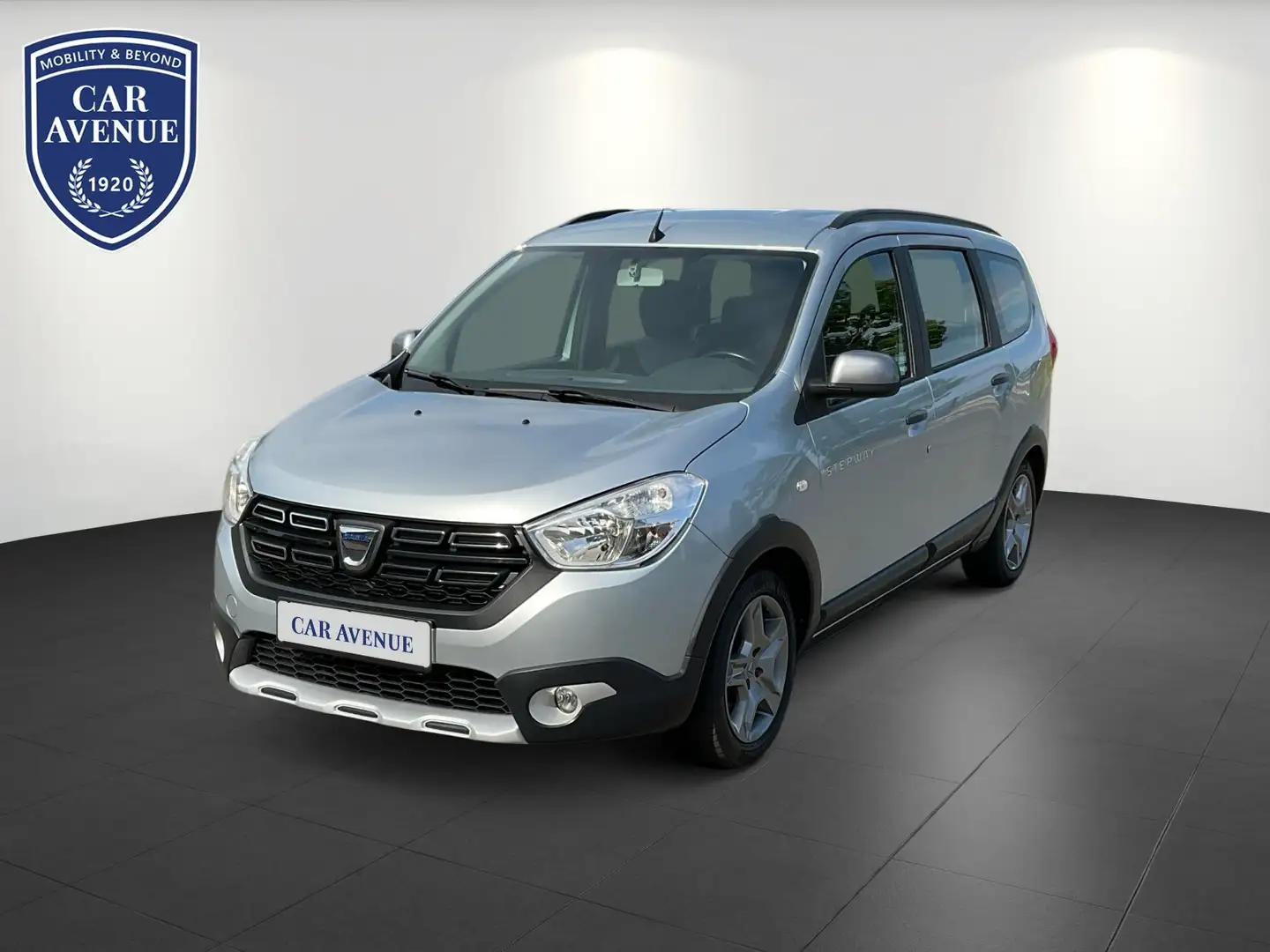 Dacia Lodgy Stepway Kamera Navi Gris - 1