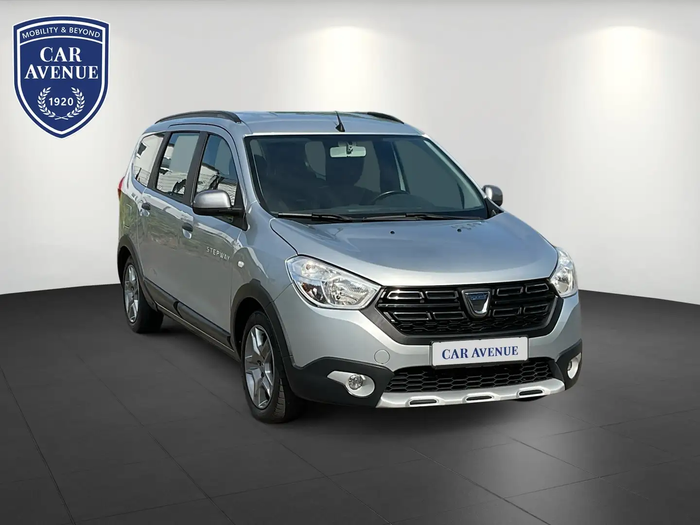 Dacia Lodgy Stepway Kamera Navi Gris - 2