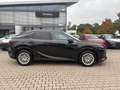 Lexus RX 350 h E-Four Luxury Line LED, Navi, Kamera, SHZ Schwarz - thumbnail 16