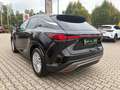 Lexus RX 350 h E-Four Luxury Line LED, Navi, Kamera, SHZ Schwarz - thumbnail 4