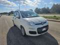 Fiat Panda 1.3 MJT S&S Easy AUTOVETTURA Bianco - thumbnail 3