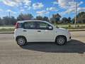 Fiat Panda 1.3 MJT S&S Easy AUTOVETTURA Bianco - thumbnail 4