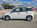 Fiat Panda 1.3 MJT S&S Easy AUTOVETTURA Bianco - thumbnail 9