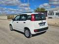 Fiat Panda 1.3 MJT S&S Easy AUTOVETTURA Bianco - thumbnail 8