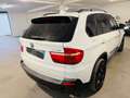 BMW X5 X5*3.0*245 CV*AUTOMATICO*X-DRIVE*TETTO*RESTYLING Bianco - thumbnail 5