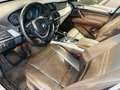 BMW X5 X5*3.0*245 CV*AUTOMATICO*X-DRIVE*TETTO*RESTYLING Bianco - thumbnail 8