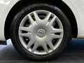 Opel Corsa 5p. 1.2 70CV Advance NEOPATENTATI Bianco - thumbnail 6