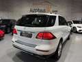 Mercedes-Benz GLE 350 /4Matic/SCHIEBD/AMG/SHZ/NAVI/LED/AHK/RFK Weiß - thumbnail 2