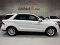 Mercedes-Benz GLE 350 /4Matic/SCHIEBD/AMG/SHZ/NAVI/LED/AHK/RFK Weiß - thumbnail 7