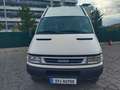 Iveco Daily Fg. 35C12 3950 RD 17 Weiß - thumbnail 11