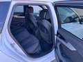 Audi A4 A4 Avant 30 TDI S-tronic **MATRIX**GARANTIE** Weiß - thumbnail 23